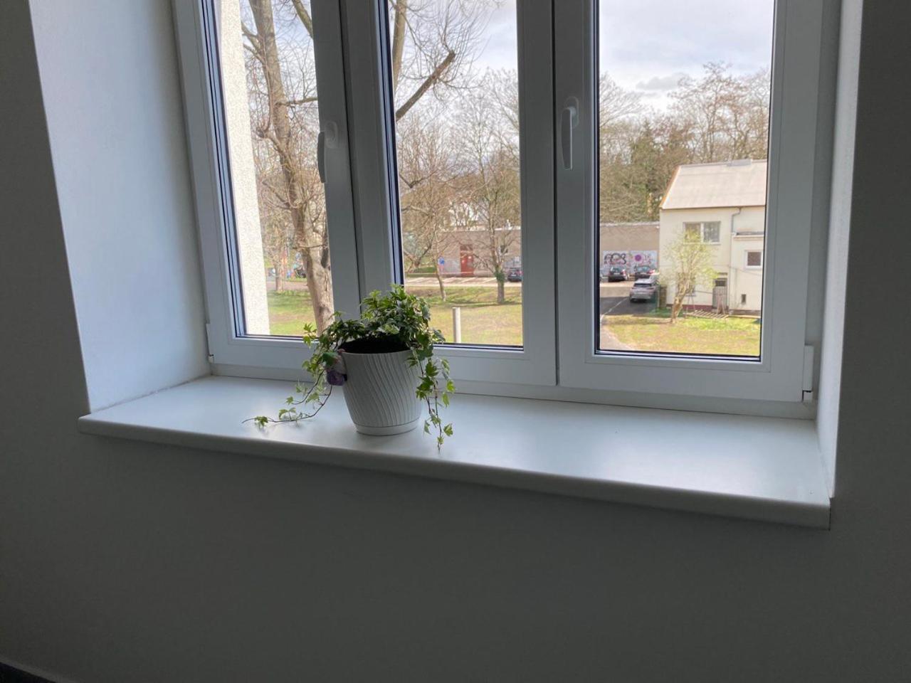Perla Hradce 301 Lägenhet Hradec Králové Exteriör bild